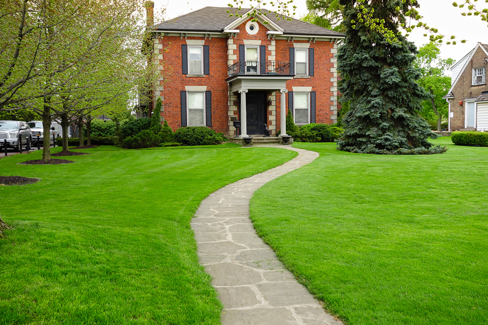 house with large front yard